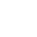 plug-white