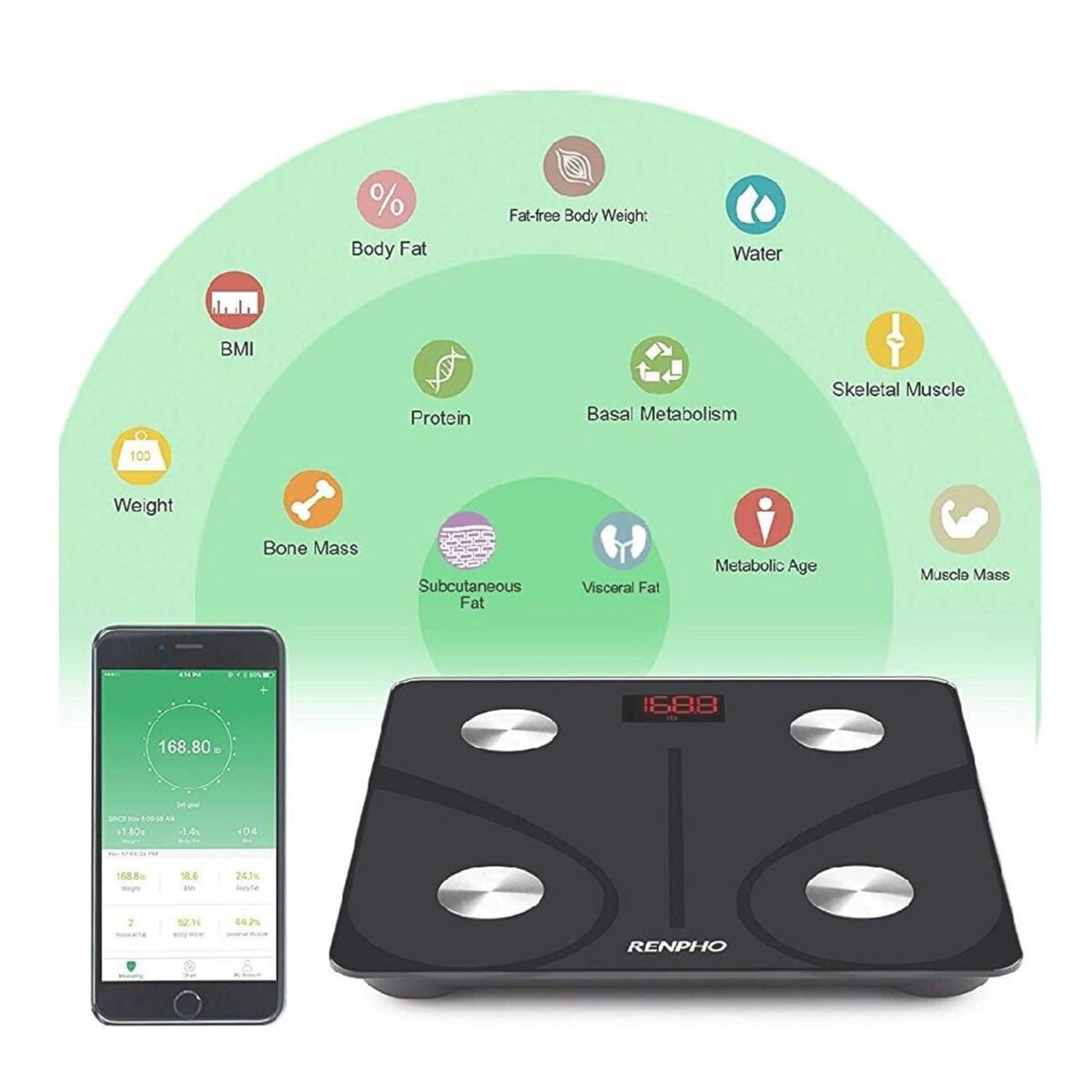 RENPHO Body Fat Scale Review Gym Tech Review