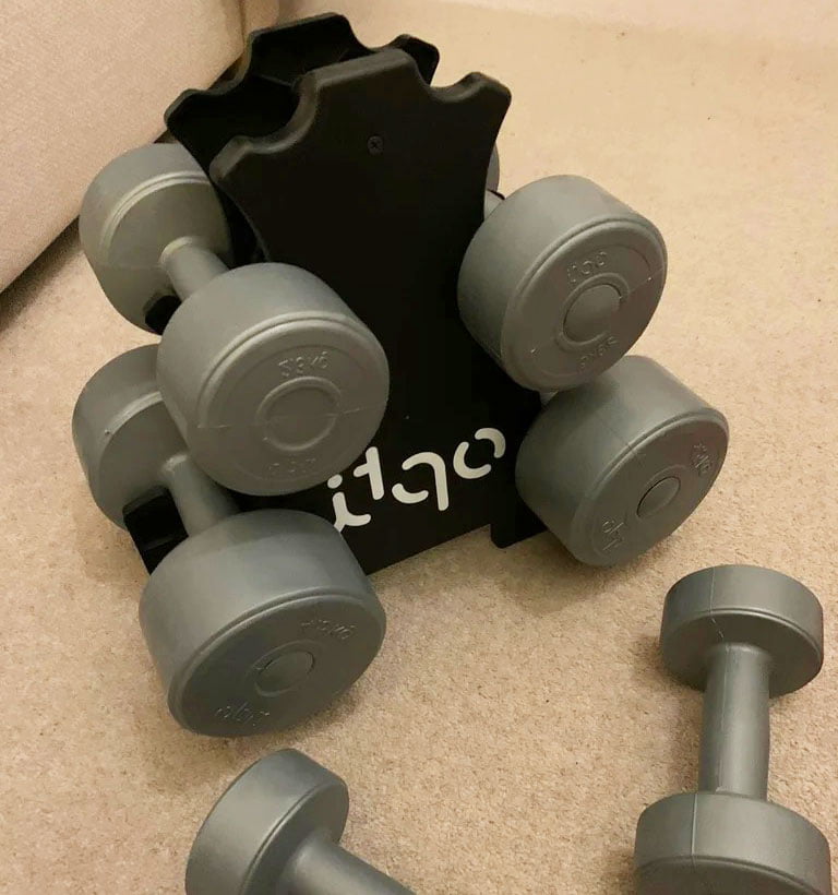 Set of 6 weights for Opti Dumbbell Tree Set