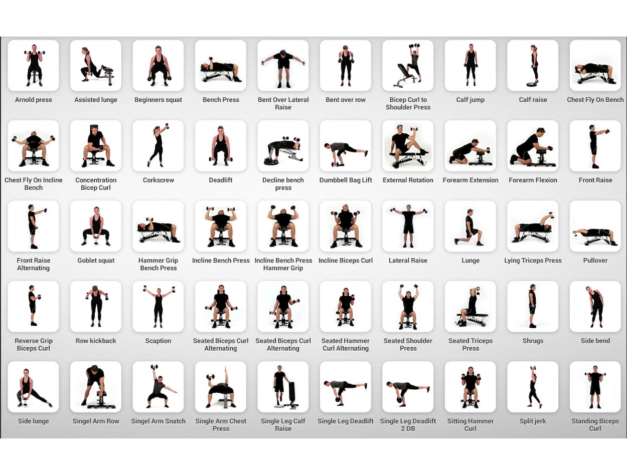 Exercise Bench Workout Chart